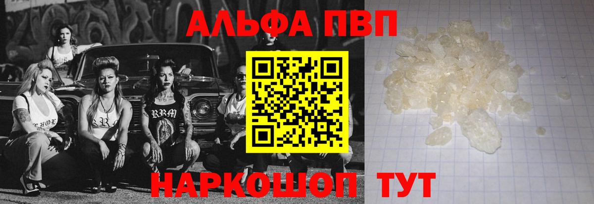 Alfa_PVP СК Верхняя Пышма