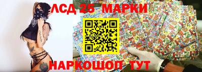 apvp Можга