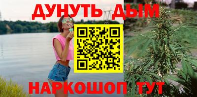 apvp Можга